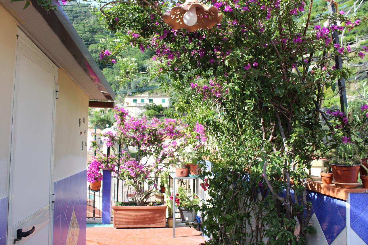 Bed and Breakfast Reginella Cetara Exterior foto